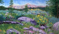Pasture, Pallet knife, Alpine County, Alpine Painter ,Hope Valley, Wildflowers, Painter, Lake Tahoe Painter